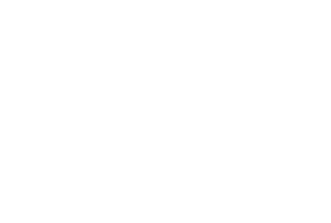 Istituto Nazionale di Fisica Nucleare - INFN