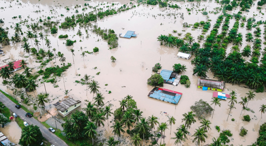 process of IPCC calls for nominations of authors and how academies and experts can engage