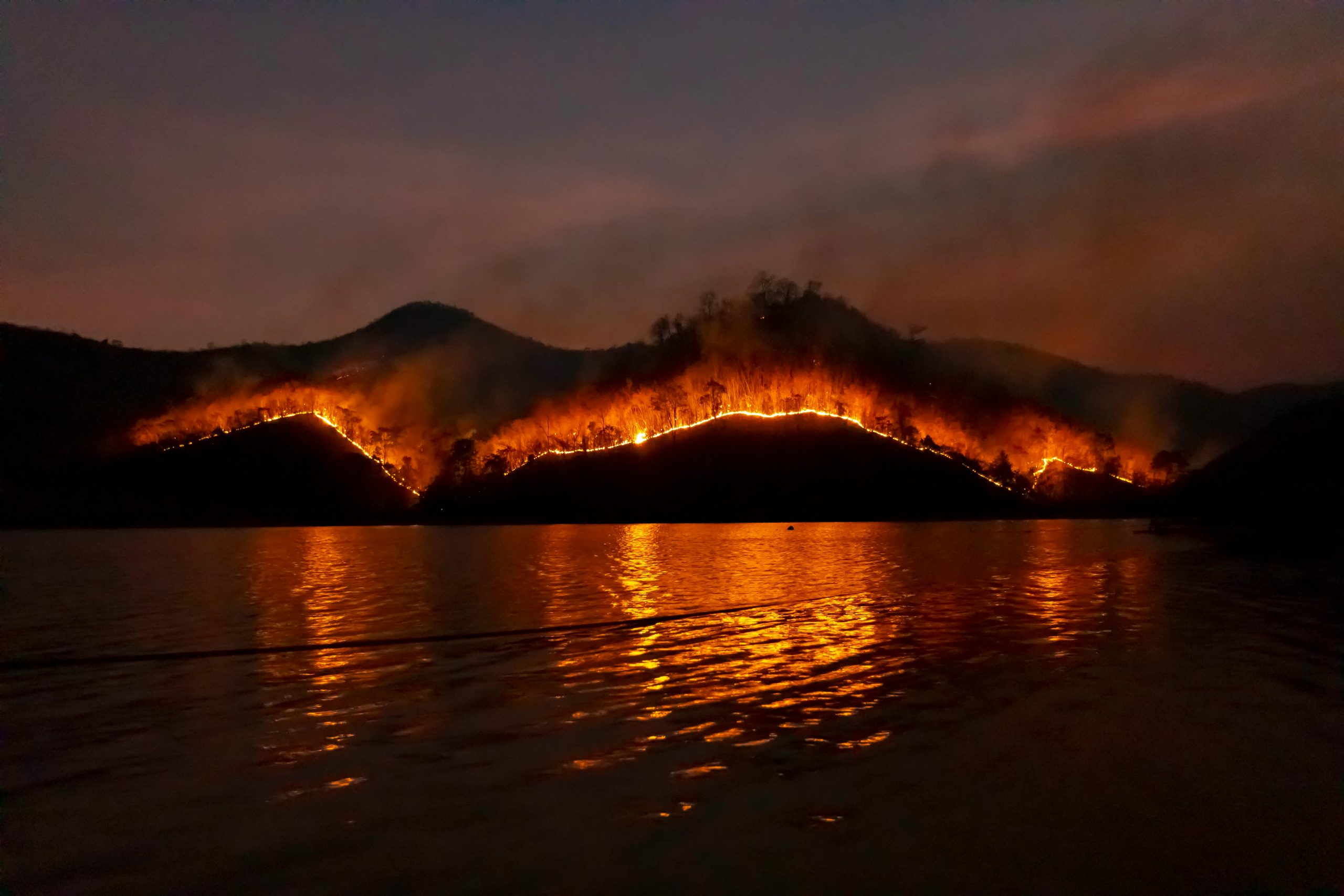 IAP EASAC Wildfires