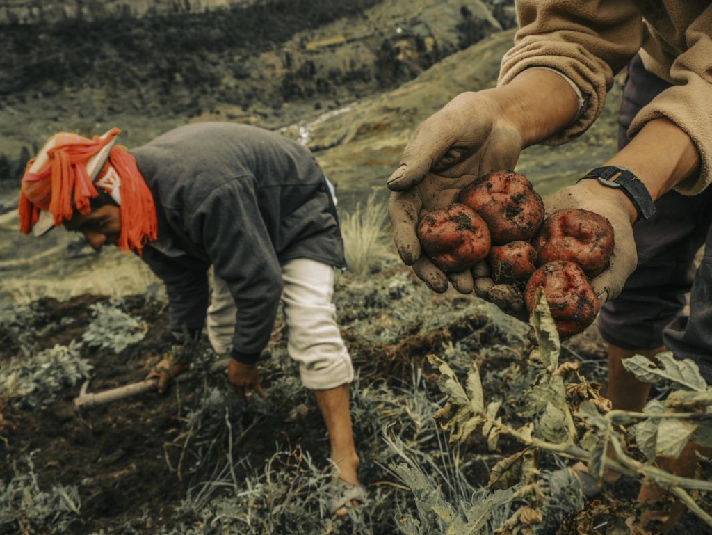 Una delle immagini del saggio fotografico premiato, realizzata da Musuku Nolte. (Foto: Musuku Nolte)