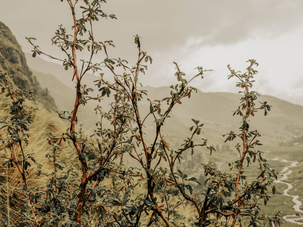 Una delle immagini del saggio fotografico premiato, realizzata da Musuku Nolte. (Foto: Musuku Nolte)